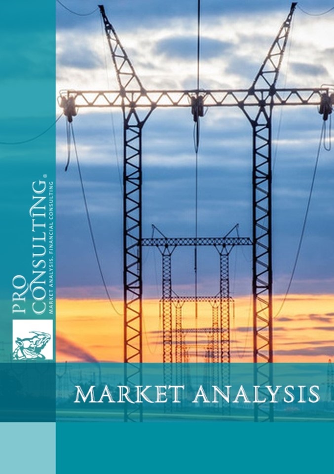 Market research report on electricity prices for legal entities in Ukraine. 2023 year